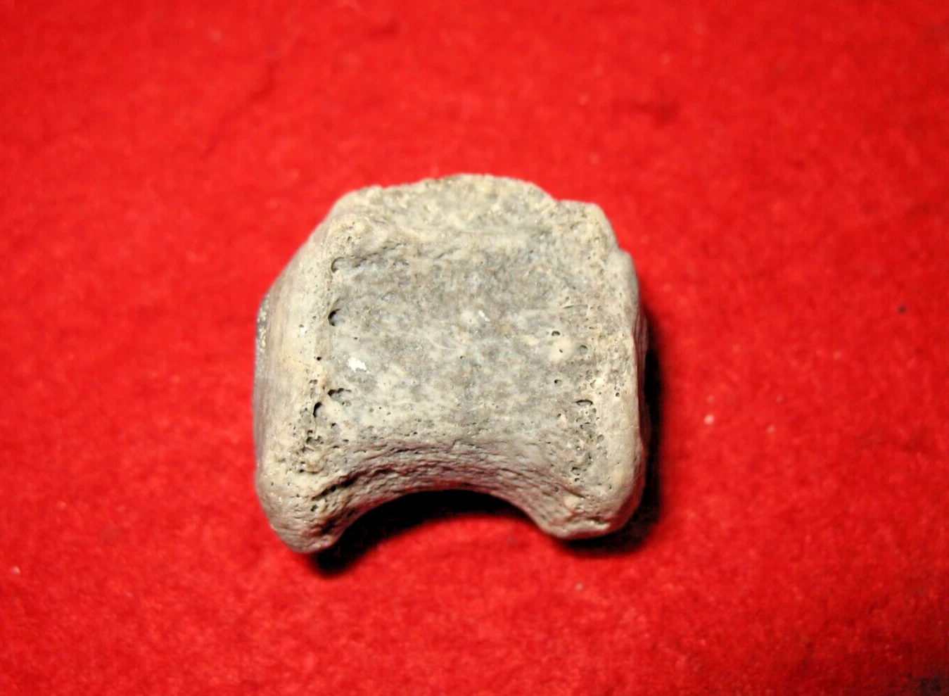 Picture 5 of 6