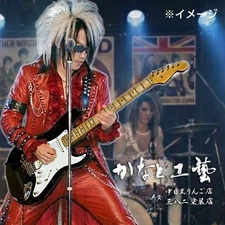 Edwards By Esp 50S Strat22F 3.3Kg No.MG2354