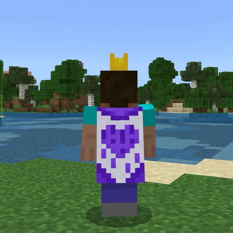 Minecraft 2024 Twitch Purple Heart Cape Code - Bedrock & Java ⚡️24/7 SOFORT⚡️ - Bild 2 von 3