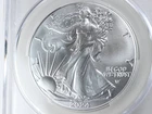 NobleSpirit 2024 1 oz Silver American Eagle - 1st Delivery Nugget - CAC MS70