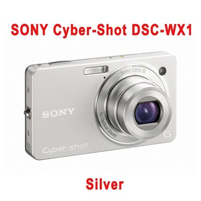 Sony Cyber-shot Dsc-wx100 - Digital Camera for sale online | eBay