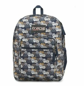 jansport cat backpacks