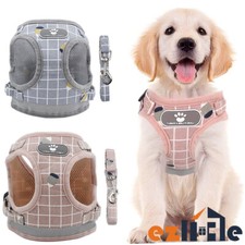 Pet Reflective Walking Harness Escape Proof Vest Lead Leash Dog Cat Small