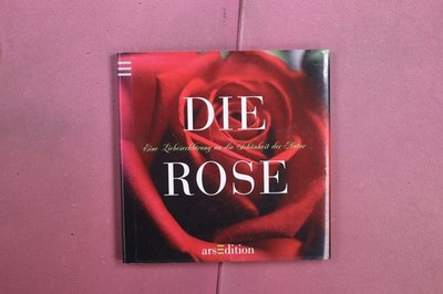 422073 Friederike Spieth DIE ROSE arsEdition Eine Liebeserklärung an die