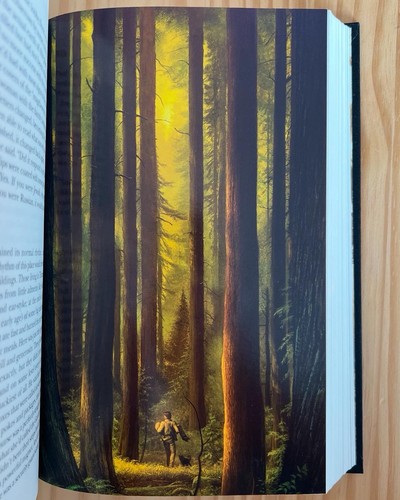 The Dark Tower - Stephen King - First Edition (2004) - Picture 11 of 11