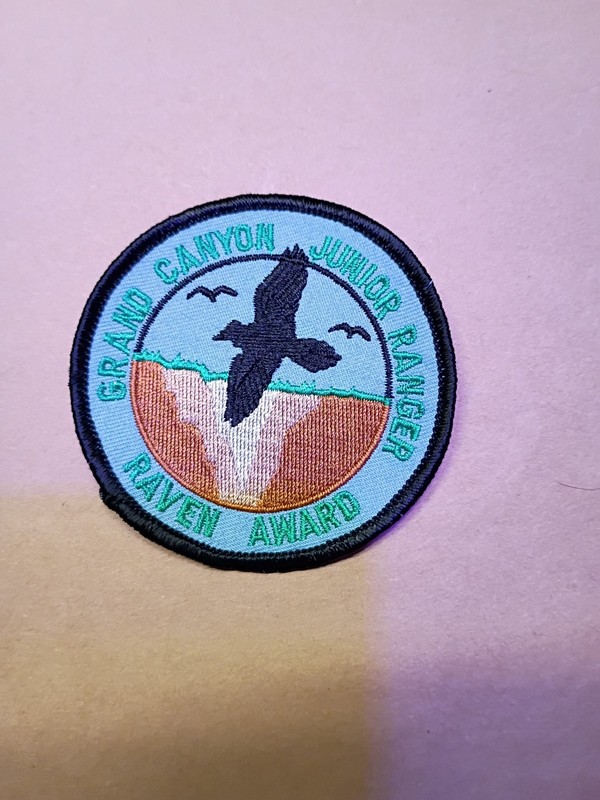 Boy Scouts Merit Badge Patches