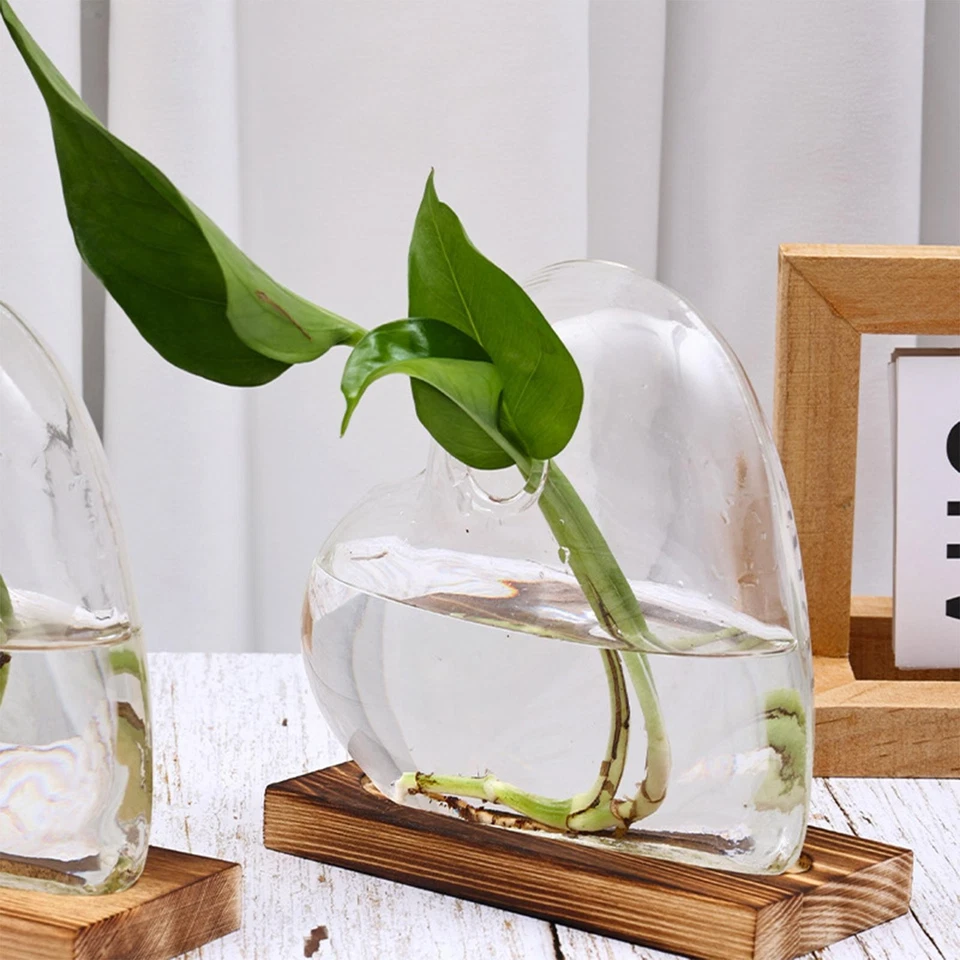 Heart Shaped Glass Vase with Wooden Base Plant Terrarium