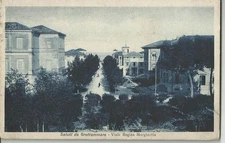 GROTTAMMARE ( Ascoli Piceno ) - Saluti da.. Viale Regina Margherita   -aav1099