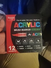 Guangna Acrylic Paint Markers,12 Colors with Direct-Liquid Ink Control System, P