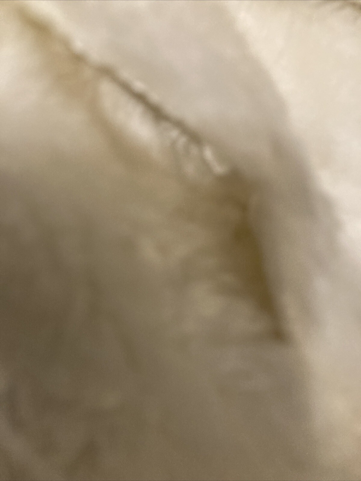 Picture 5 of 5