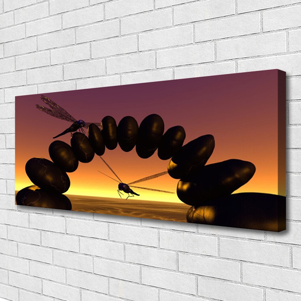 Impression sur toile 125x50 Art Libellules de style tableaux panoramiques multicolores