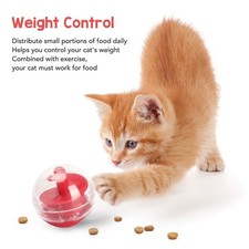Cat Treat Dispensing Ball Bite Resistant Interactive Pet Slow Feeder Puzzle Ball