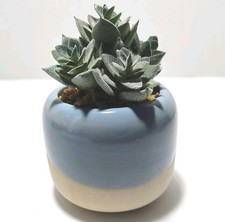 Faux Succulent Home Office Desk Work Plant Pot Decor Cute Artificial Plant