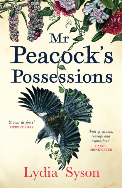 Mr Peacock's Possessions by Lydia Syson (Hardback Book)