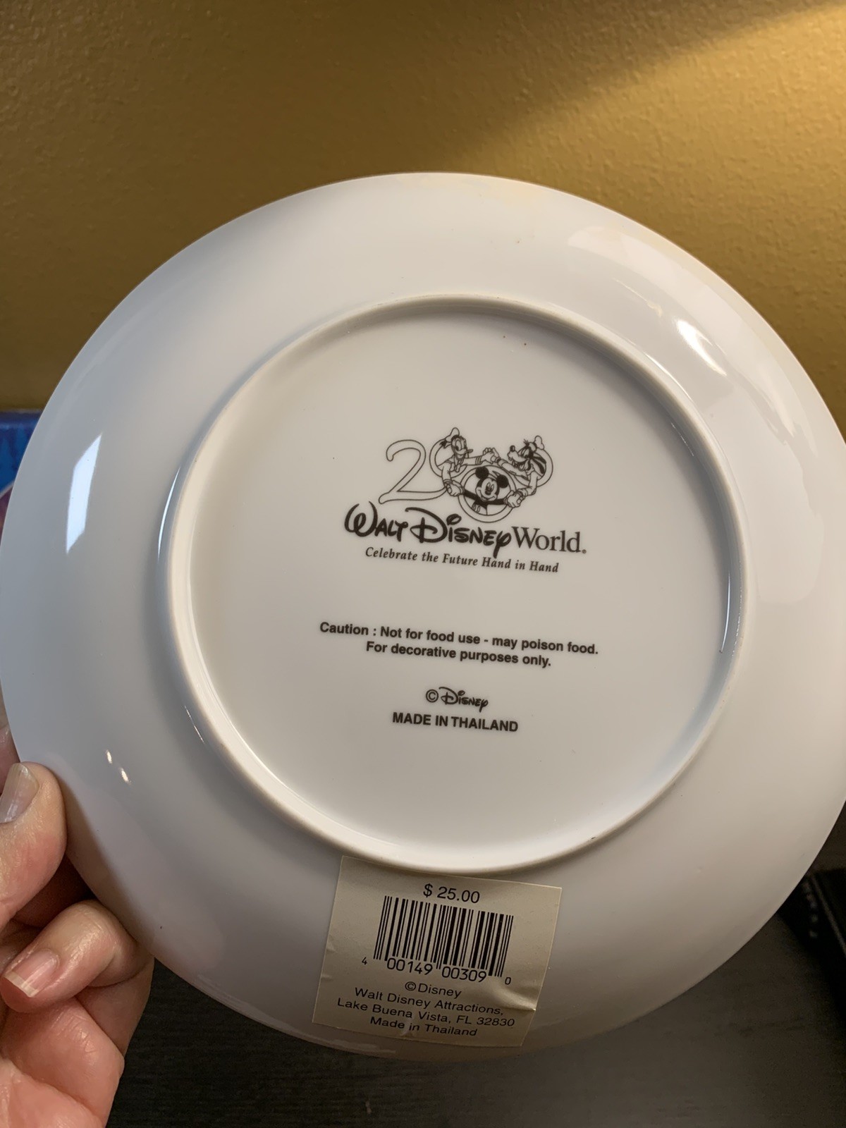 WALT DISNEY WORLD - 2000 Decorative Plate "Celebrate the Future Hand in Hand!"
