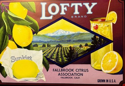 1930s Lofty Lemons Crate Label Fallbrook CA H.S. Crocker NOS Vintage Citrus Art