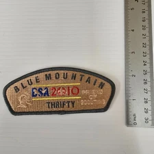 2009-10 Friends of Scouting Blue Mountain Council FOS Patch "Thrifty"