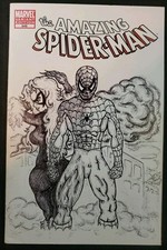 Amazing Spider-Man 606 Sketch Variant Double Art Marvel Comic Signed 13C ***