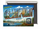 Greetings from Cedar Point Ohio FRIDGE MAGNET travel souvenir "style Z"