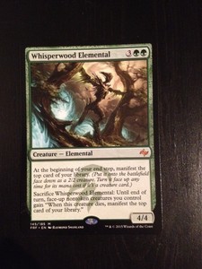 whisperwood elemental faceless menace whisperwood elemental faceless menace