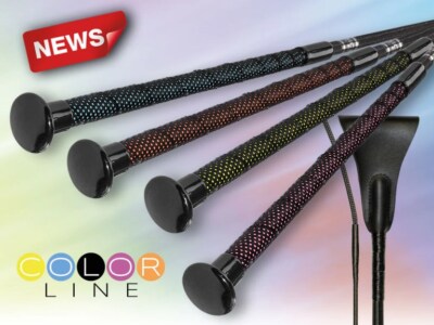 Fleck Blue Colorline Dressage Whip