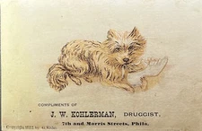 Antique Victorian Era Trade Card - Check Out My Store!