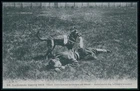 Military Red Cross War dog Training ww1 WWI original old c1915 postcard