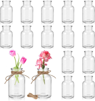 Mini Glasvasen Set 16 StüCk 10Cm FüR Blumen & Dekorationen, Langlebig, Inkl. Jut