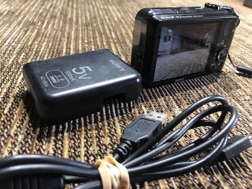 sony cyber-shot dsc-hx10v 18.2mp digital camera - black