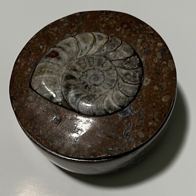 Fossil Stone Jewelry Box Authentic Ammonite Fossil in Marine Sedimentary Rock