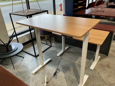 48 Wx30 D electric height Adjustable table by Flexispot Neutral top & White base