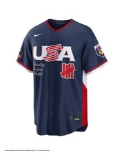 World Baseball Classic X Undefeated WBC x UNDEFEATED USA JERSEY Size Large (L)