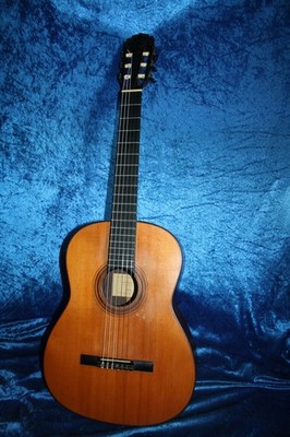 Schöne alte Meister Gitarre von  F.P.Dietrich,Label und Brandstempel,Spielbereit