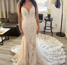 Wedding Dress Size 12 with Train and Cathedral Veil New