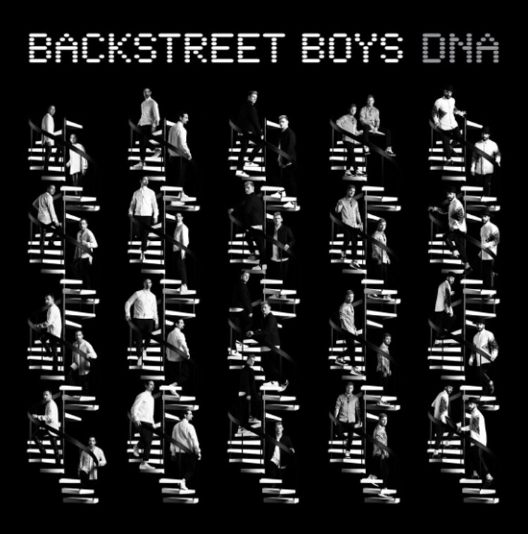 Backstreet Boys DNA (Vinyl LP) 12" Album