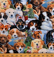 Cotton Garden Puppies Puppy Dogs Pets Animals Fabric Print by the Yard D760.46