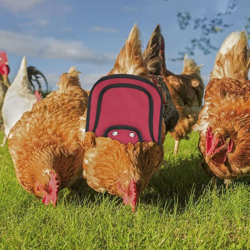 Chicken Saddle Hen Back Neck Wing Protection Handmade Hen Protector From Rooster - Picture 11 of 14