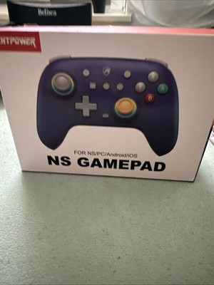 Echtpower NS Gampad