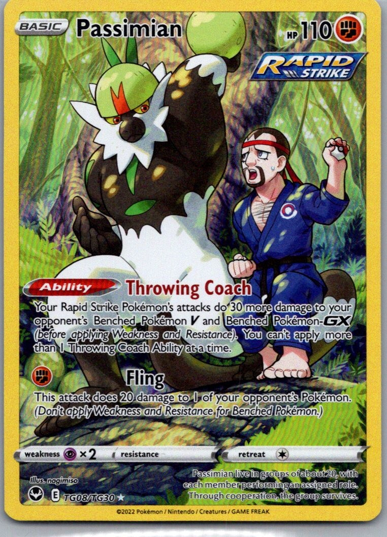 Passimian TG08/TG30 Holo Silver Tempest Trainer Gallery Pokemon Holo NM