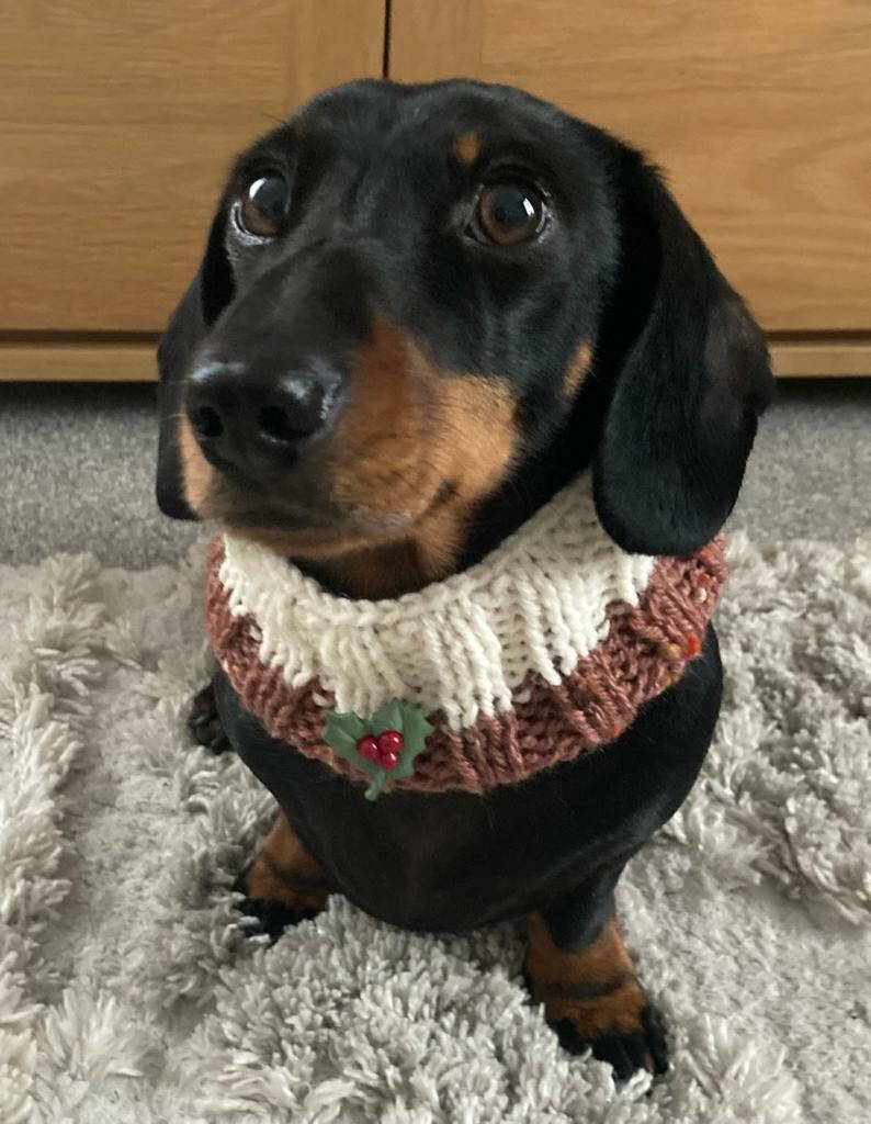 Knitted Jumper Christmas Dachshund Jumper Knitted Xmas Decoration