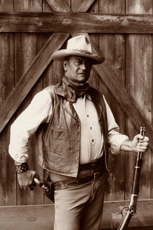 VINTAGE JOHN WAYNE IN THE COWBOYS MOVIE POSTER PRINT 54x36 BIG 9 MIL PAPER