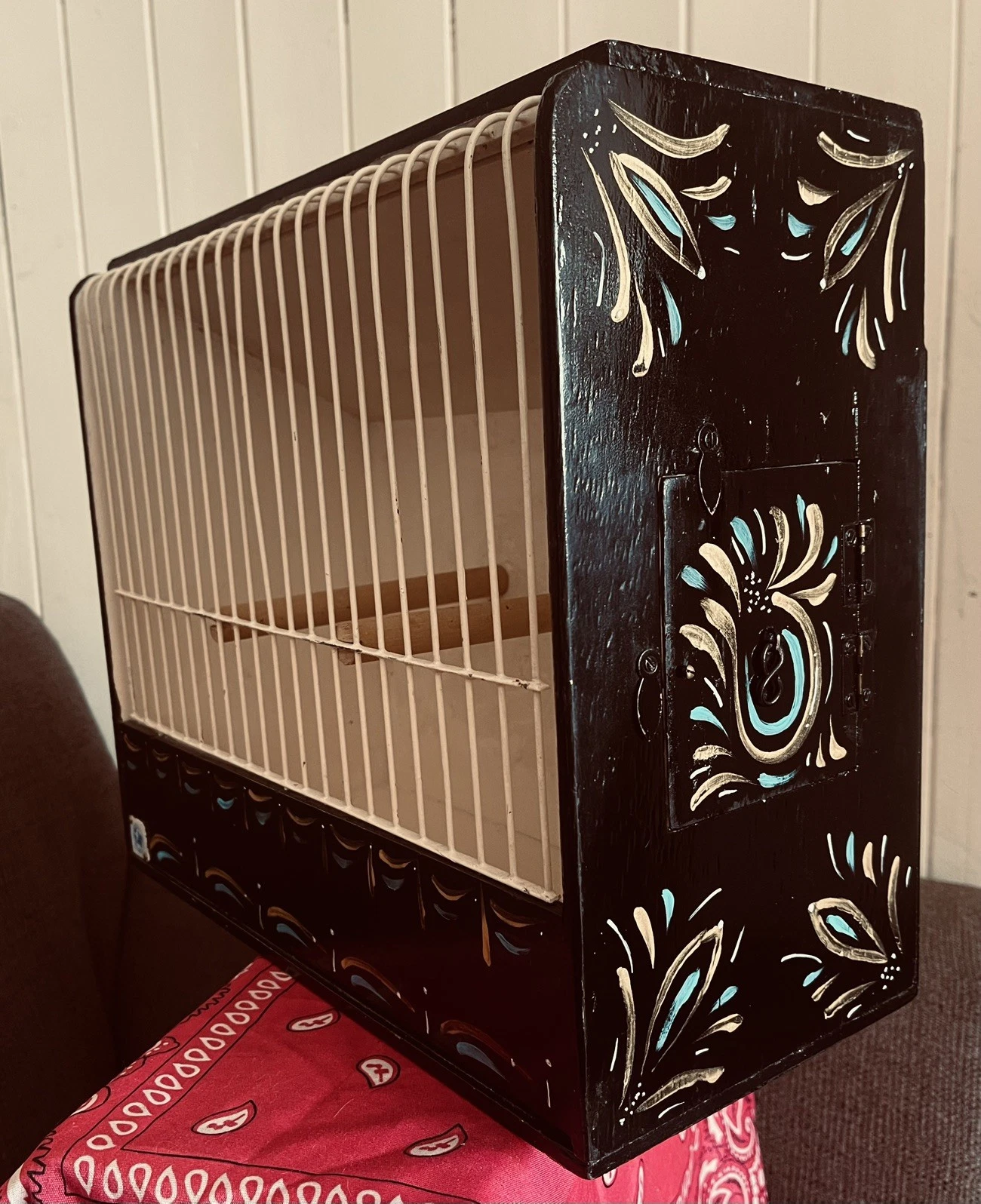 Painted Cage
Opens in a new window or tab