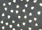 Bild 9 von 11