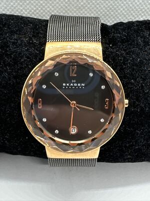 Skagen SKW2120 Women\'s Gray Stainless Steel Mesh Analog Dial Quartz Watch JNA892 Skagen women main image 4
