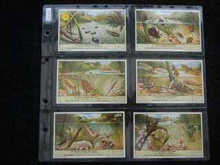 ONE COMPLETE SET OF SIX LIEBIG TRADE CARDS