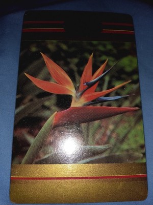 Vintage Congress Playing Cards Sealed  Bird of Paradise Single Deck