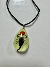 Glow in the Dark Black Scorpion Necklace, Heterometrus Spinifer, Oddities