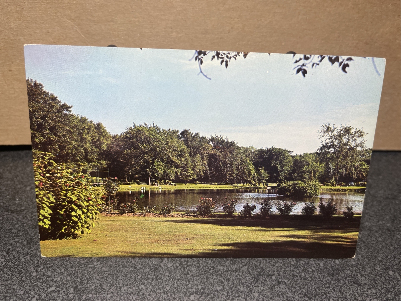Hoopes Park Auburn New York Postcard eBay