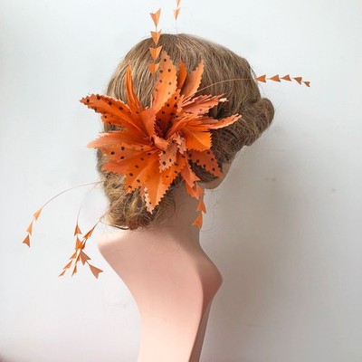 79 Farben Punkte Gänsefeder verdrahtet Millinery Hut Reittier Renntag Dekor