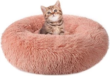 rabbitgoo Cat Beds for Indoor Cats, 20 inches Cat Bed Machine Washable